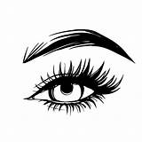Female Eye Vector Eyelashes Choose Board Brows Drawn Hand Long Beautiful sketch template