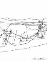 Arando Terra Agricultor Boi Buey Plowing Cultivando Hellokids Fazendeiro Famer Bueyes Tudodesenhos Job Raton Paisaje sketch template
