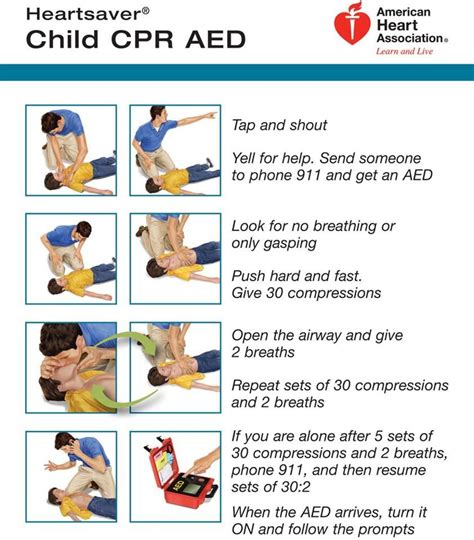 child cpr toddler cpr infant cpr adult cpr  aid cpr cpr