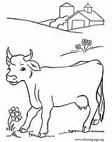 Coloring Pages Cow Printable Cows Farm Colouring Pasture Animal Calves Clipart Cute Kids Walking Books Jersey Drawing Worksheets Colour Farms sketch template