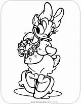Daisy Duck Coloring Pages Disneyclips Diamonds Wearing Printable Ratings Yet sketch template