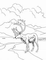 Coloring Pages Getdrawings Archaeology sketch template