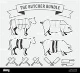 Butcher Mark Stock Bundle Meat Vector Any Use Alamy sketch template