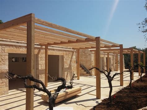 Pergolati in ferro per giardini e terrazze. Pergolati in legno, ferro e alluminio â Naturalwood Bologna