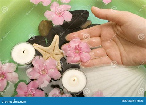 spa treatment stock photo image  flower manicure girl