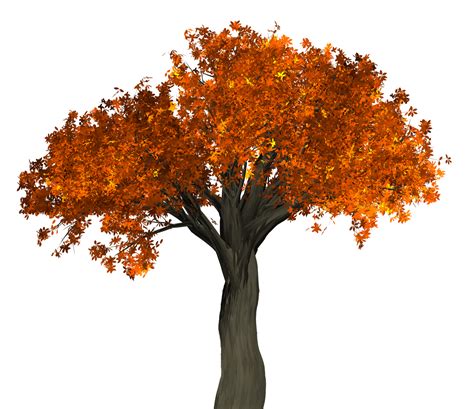 big autumn tree png image purepng  transparent cc png image library