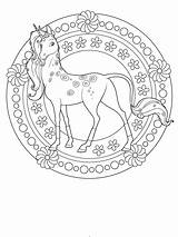 Ausmalbilder Einhorn Mandala Pferde Ausdrucken Ausmalen Onchao sketch template