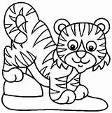 Bengal Tiger Coloring Getcolorings sketch template