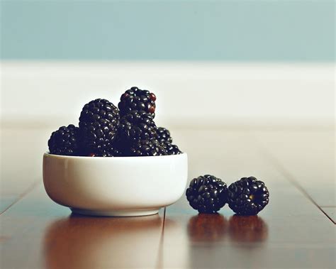 sweet blackberries photograph by amelia matarazzo fine art america