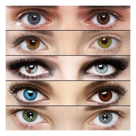 colored eyes  humans   polyvore featuring beauty products