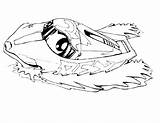 Boat Coloring Pages Speed Kids Printable Bestcoloringpagesforkids Sheets sketch template