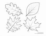 Leaf Coloring Templates Leaves Pages Print Template Kids Printable Stencils Tree Printables Patterns Drawing Fall Shapes Oak Dogwood Shape Cut sketch template