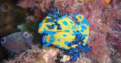 Nudi Sex Does This Count As Nsfw Album On Imgur