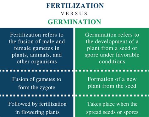 difference  pollination  fertilization class  slidesharetrick