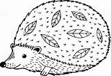Igel Hedgehog Malvorlage sketch template