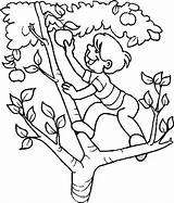 Apple Climb Pommier Saturn Printable Kidsplaycolor Coloriages Manzanas Colorier Pngitem Mazano sketch template