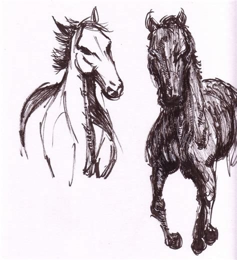 rafael desquitado quick sketches  horses