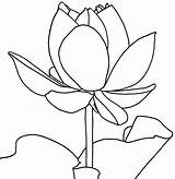 Lotus Coloring Printable Pages Flower Kids Flowers Bestcoloringpagesforkids Color Sheets Getcolorings Popular Detailed sketch template