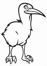 Kiwi Bird Coloring Pages Print sketch template