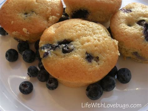 easy breakfast muffin recipe life  lovebugs