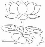 Lotus Coloring Kids Pages Sacred sketch template