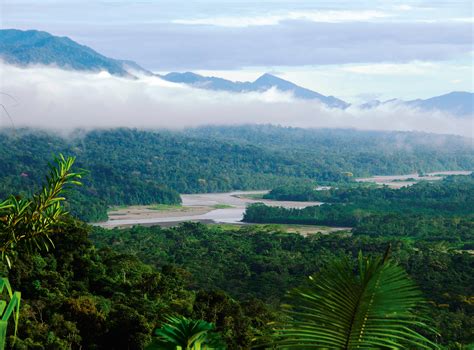 peruvian rainforest adventures   spend
