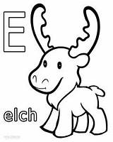 Elch Moose Malvorlagen Cool2bkids sketch template