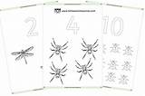 Eyfs Colouring Printable Early Years Minibeasts Owls Counting Ey Resource Resources Little Sheets sketch template