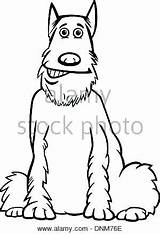 Coloring Schnauzer Pages Miniature Getcolorings sketch template