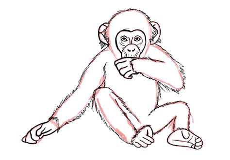 draw  life  monkey buildingrelationship