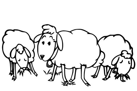 sheep eating grass coloring page  printable coloring pages