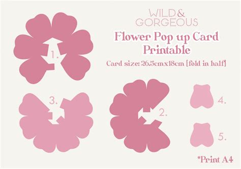 flower pop  card