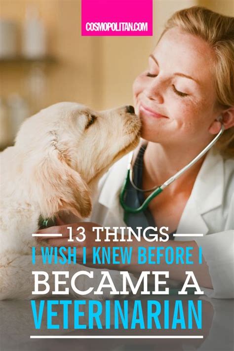 What I Wish I Knew Before I Became A Veterinarian How To