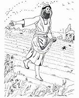 Sower Parable Coloring Pages Getcolorings Printable Print sketch template