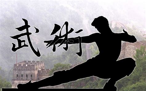 kung fu  martial arts films list   books legally