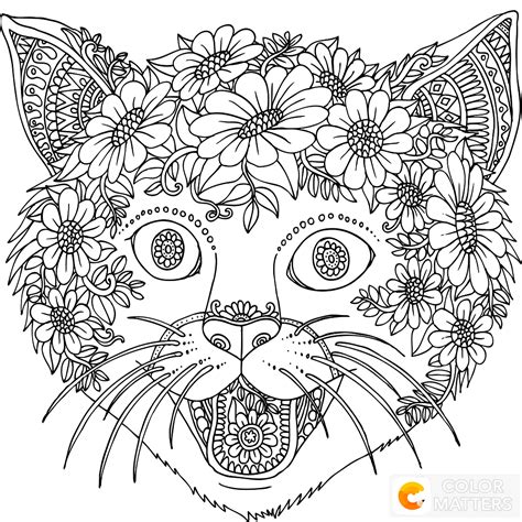 cat coloring page adult coloring pages cat  dog cat dog images