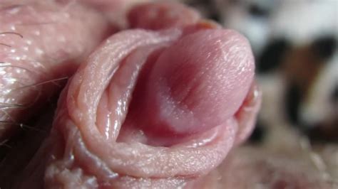 Clitoris Hotntubes Porn