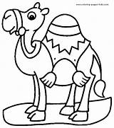 Camel Coloring Pages Color Camels Sheets Kids Pretty Gif sketch template