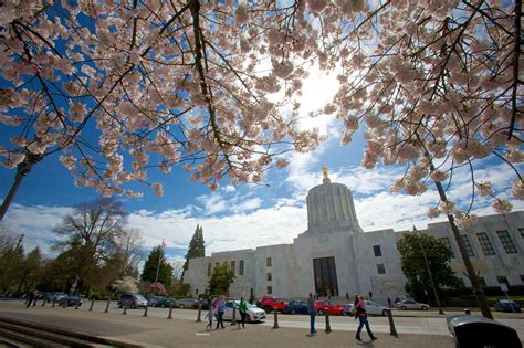 Oregon Senate President’s Longtime Aide Resigns Over