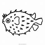 Pez Globo Ausmalbilder Kugelfisch Panzer Blowfish Ultracoloringpages sketch template