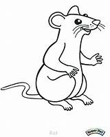 Rat Coloring Pages Outline Cartoon Gerbil Drawing Rats Color Print Getcolorings Printable Coloringbay Getdrawings Mouse Lab sketch template