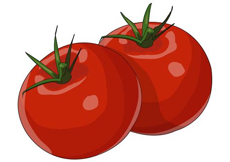 icono de tomate rojo estilo de dibujos animados png tomate dibujos