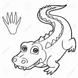 Croc Coloring Pages Getdrawings sketch template