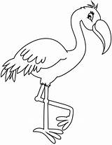 Fenicottero Disegno Flamingo Stampare sketch template