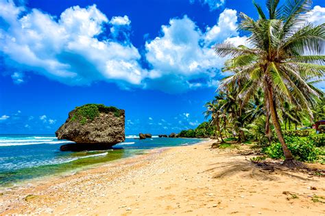 Best Beaches In Barbados