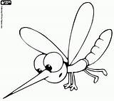 Mosquito Dengue Desenho Colorear Moustique Mosquitos Joga Dzieci Ensinando Ensinandocomcarinho Muskiet Insecte Desenhar Kleurplaten Insecten Aedes Aegypti Fáceis Carinho Fácil sketch template