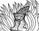 Leopard Snow Pages Coloring Baby Getcolorings Colorin sketch template
