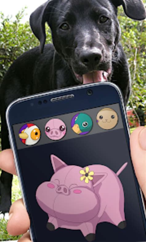 dog toy squeaker soundboard  android