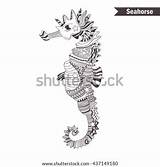 Coloring Seahorse Zentangle Antistress Isolated sketch template