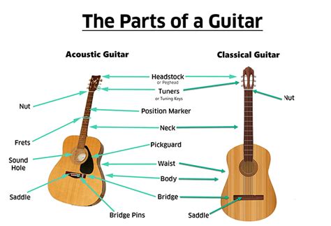 parts   guitar acoustic classical px